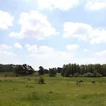 Reihenhaus Rotkehlchen, Lohmen Casa vacanze *