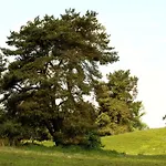 Casa vacanze Reihenhaus Rotkehlchen, Lohmen Lohmen (Mecklenburg-Vorpommern)