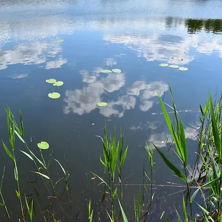 Reihenhaus Rotkehlchen, Lohmen Lohmen (Mecklenburg-Vorpommern)