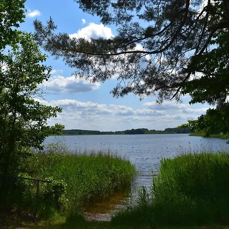 Reihenhaus Rotkehlchen, Lohmen Lohmen (Mecklenburg-Vorpommern)