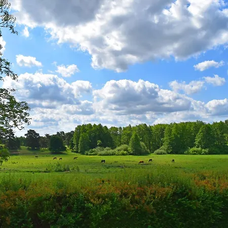 Reihenhaus Rotkehlchen, Lohmen * Lohmen (Mecklenburg-Vorpommern)