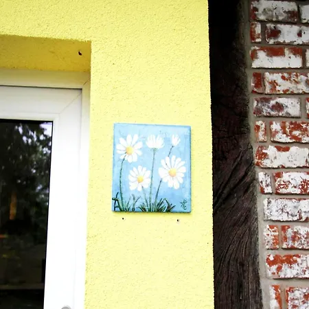 Casa de Férias Reihenhaus Rotkehlchen, Lohmen