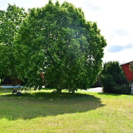 Reihenhaus Rotkehlchen, Lohmen Casa de Férias Lohmen (Mecklenburg-Vorpommern)